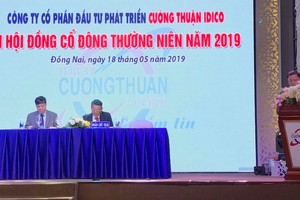 ĐHCĐ Cường Thuận IDICO (CTI): Đặt kế hoạch lợi nhuận gần 142 tỷ đồng, tăng 11%