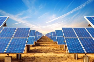 Bamboo Capital (BCG): Lợi nhuận 2021 kỷ lục hơn 973 tỷ đồng