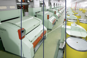 FTM sập sàn, hơn 10 công ty chứng khoán bị mất tiền