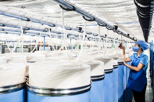 Thao túng cổ phiếu FTM, ông Lê Mạnh Thường cùng một cá nhân bị phạt 1,2 tỷ đồng