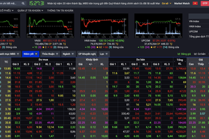 Hiện trạng một phần bảng giá của MBS lúc này