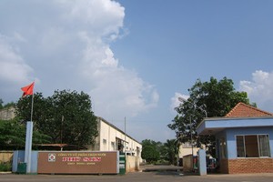 Chăn nuôi Phú Sơn (PSL) vượt 77% kế hoạch trong 6 tháng