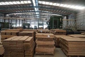 Sao Thái Dương (SJF) đặt mục tiêu có lãi sau một năm lỗ nặng