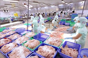 Thuỷ sản Cửu Long An Giang (ACL): Kết quả kinh doanh yếu kém, Phó tổng giám đốc muốn thoái toàn bộ gần 5% vốn