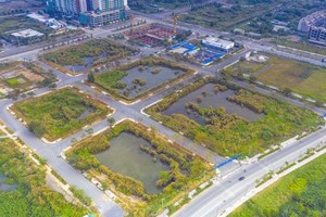 Đấu giá lại những lô đất bị bỏ cọc tại Thủ Thiêm, tín hiệu tích cực cho thị trường bất động sản