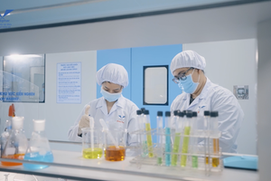 Bidiphar (DBD) chốt quyền chia cổ tức bằng tiền mặt, tỷ lệ 20% 