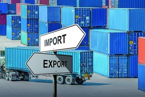 Chứng khoán Rồng Việt: REE và cổ phiếu ngân hàng ít ảnh hưởng bởi thuế quan, cân nhắc thêm nhóm có beta cao