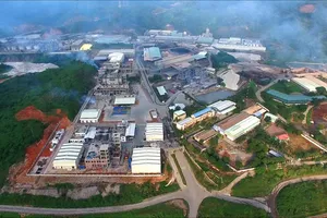 Cổ phiếu DGC bất ngờ tăng kịch trần trong phiên 21/1