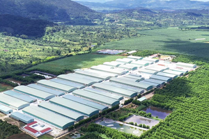 Hoàng Anh Gia Lai (HAG) đã tất toán toàn bộ khoản nợ trái phiếu