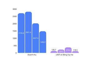 Kết quả kinh doanh của TPS qua các năm