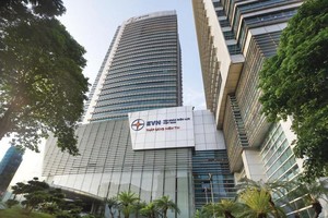 Kỳ vọng những sếu đầu đàn của nền kinh tế