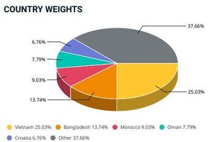 VCG - tân binh lọt rổ MSCI có gì đáng chú ý?