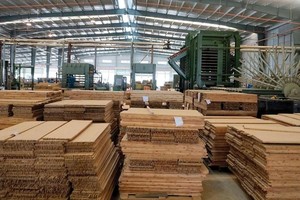 Thấy gì phía sau phiên giao dịch khủng của SJF?