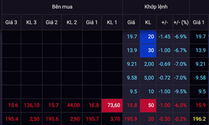 Cần thanh kiểm tra có hay không việc thao túng giá cổ phiếu FLC và các cổ phiếu tăng nóng