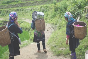 Phụ nữ Việt Nam đạt nhiều tiến bộ trong bảng xếp hạng nữ doanh nhân toàn cầu