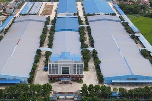 Tháng 8, lợi nhuận sau thuế của TNG tăng 31% so với cùng kỳ