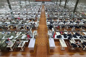 9 tháng, May Sông Hồng (MSH) đạt 280 tỷ đồng lợi nhuận sau thuế