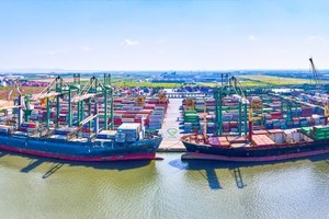 Viconship (VSC) chuyển mình, tăng tốc