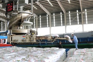 Quý II, Phân bón Cà Mau (DCM) lãi trước thuế 324 tỷ đồng