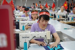 Doanh thu tiêu thụ tháng 11 của TNG tăng 10% so với cùng kỳ