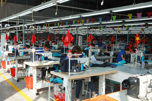 TNG: Doanh thu 2 tháng đầu năm tăng 12,7% so với cùng kỳ