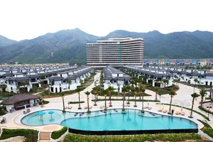 Tập đoàn C.E.O (CEO) chốt quyền chia cổ tức bằng cổ phiếu, tỷ lệ 100:5