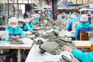 TNG doanh thu tiêu thụ tháng 1/2024 tăng mạnh