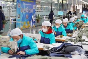 TNG: Ủy viên HĐQT và em Chủ tịch lần lượt bán lượng lớn cổ phiếu