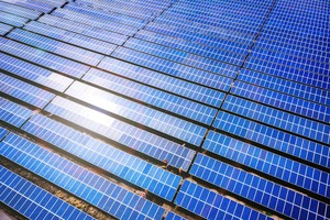 Mảng năng lượng tái tạo đang đóng góp nhiều nhất vào cơ cấu doanh thu của Tập đoàn Bamboo Capital.