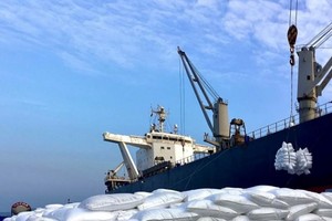 Sản lượng tiêu thụ vượt bậc, PVCFC (DCM) đạt 447 tỷ đồng lợi nhuận trước thuế hợp nhất quý I/2025