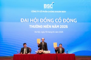 Chủ tịch BSC (BSI): Chứng khoán giảm sâu là cơ hội