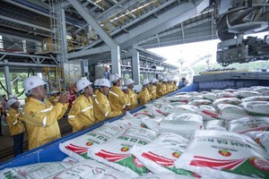 Phân bón Cà Mau (DCM) xuất khẩu thành công lô hàng đầu tiên sang Mỹ