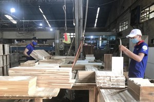 Chế biến Gỗ Thuận An (GTA) chia cổ tức 8,5% bằng tiền mặt