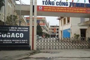 May Hưng Yên (HUG): Quý I/2021 báo lãi sau thuế 11,6 tỷ đồng, chia cổ tức năm 2020 tỷ lệ 20%