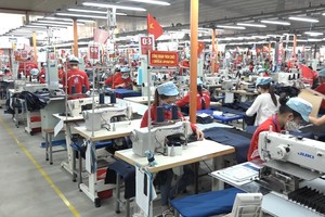 May 10 (M10) trả cổ tức năm 2020 tỷ lệ 12% bằng tiền mặt