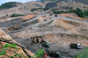 Cổ phiếu HGM có khả năng bị hủy niêm yết bắt buộc