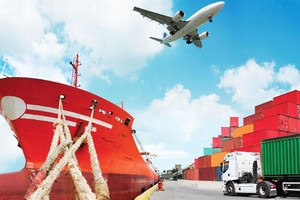 Vận tải Đa phương thức Duyên Hải (TCO) đăng ký bán toàn bộ 1,98 triệu cổ phiếu quỹ 