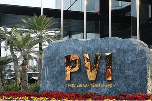 PVI chi 637 tỷ đồng trả cổ tức năm 2020, hai cổ đông lớn thu về 476,2 tỷ đồng