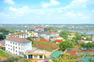 Xây dựng 1369 (C69) thanh toán cổ tức năm 2020 bằng tiền, tỷ lệ 3%