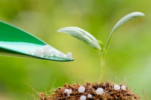 Bắt sóng cổ phiếu phân bón