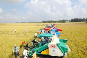 Tập đoàn F.I.T (FIT) đã bán thành công 14,7 triệu cổ phiếu TSC của Nông nghiệp Cần Thơ