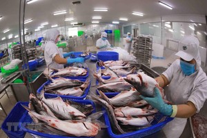 Khối lượng xuất khẩu cá tra sang Mỹ giảm 76% trong tháng 1
