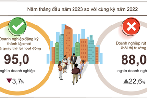 Mỗi tháng có 17.600 doanh nghiệp rút lui khỏi thị trường, 19.000 doanh nghiệp thành lập mới và quay lại hoạt động 
