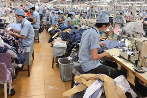 May mặc Bình Dương (BDG) chia cổ tức khủng, tỷ lệ 50% bằng tiền 