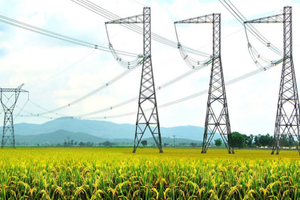 Trước án huỷ niêm yết, Trưởng Ban kiểm soát VNECO2 (VE2) đăng ký mua 400.000 cổ phiếu