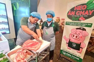 Giá heo chạm đáy, Nông nghiệp BaF Việt Nam (BAF) mang về khoản lãi 119 tỷ đồng trong quý I, gấp 30,5 lần cùng kỳ