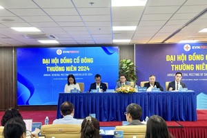 Tư vấn Xây dựng Điện 2 (TV2): Doanh thu 6 tháng ước đạt hơn 400 tỷ đồng, dự án Sông Hậu 2 có tiến triển tốt