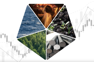 “Đãi cát” tìm cơ hội đầu tư theo phong thuỷ ngũ hành năm 2025 