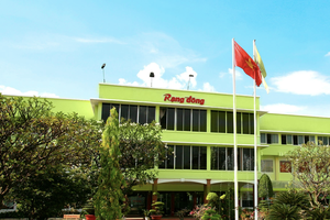 Rạng Đông Holding (RDP): 5 thành viên HĐQT, bao gồm Chủ tịch đồng loạt từ nhiệm