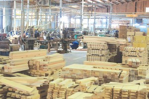 Gỗ và dược phẩm có khả năng sẽ bị Mỹ áp thuế trong thời gian tới